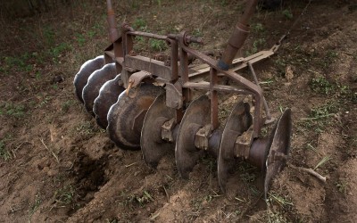 Madison County, Arkansas: A horse-drawn disk harrow on the Courteaus’ farm prepares a field to be sown with winter rye grass.