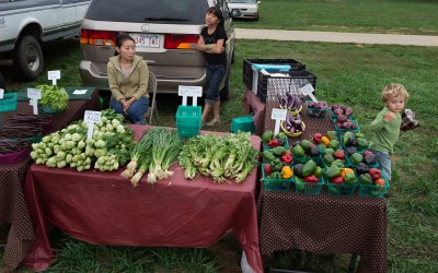 Fayetteville, Arkansas:  A large community Hmong farmers, originally from Laos, have recently settled in the area from other parts of the United States and now make up the bulk of vegetable vendors at local markets. Many grow produce varieties familiar to American palates as well as chilies, green Thai eggplants, and pumpkins for Southeast Asian recipes. One farmer, Vab Yang, substitutes cucumber for difficult-to-find green papaya in her salads.