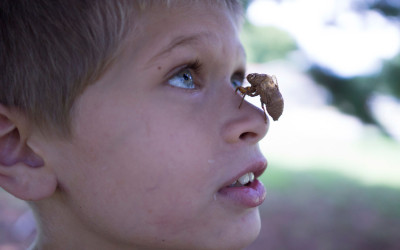 James and a cicada. Between 3 and 10 million children will witness domestic violence in this country this year.